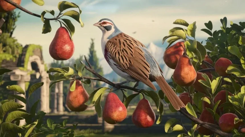 Partridge in a Pear Tree LOTRO
